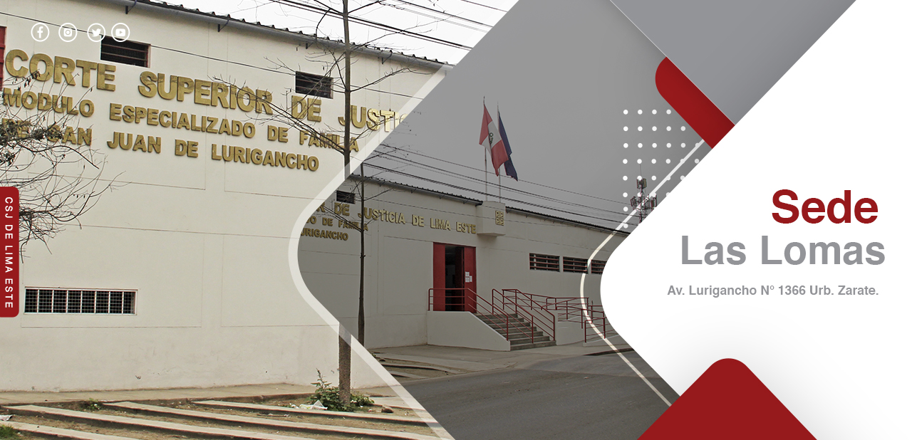 Módulo Especializado de Familia de San Juan de Lurigancho  (SEDE  LAS LOMAS)